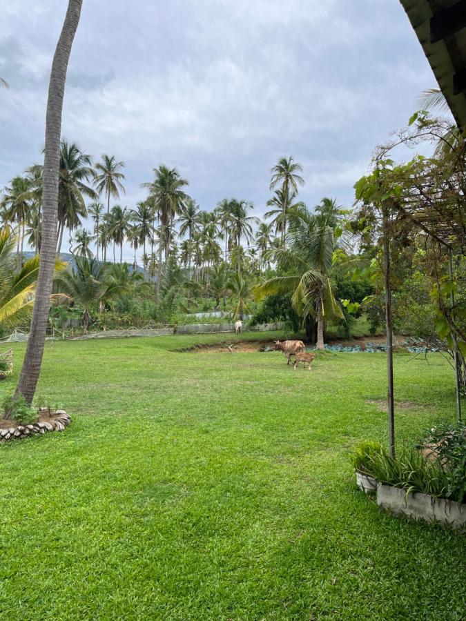 Rivendell Twisted Tree Villa Kurunegala Eksteriør billede