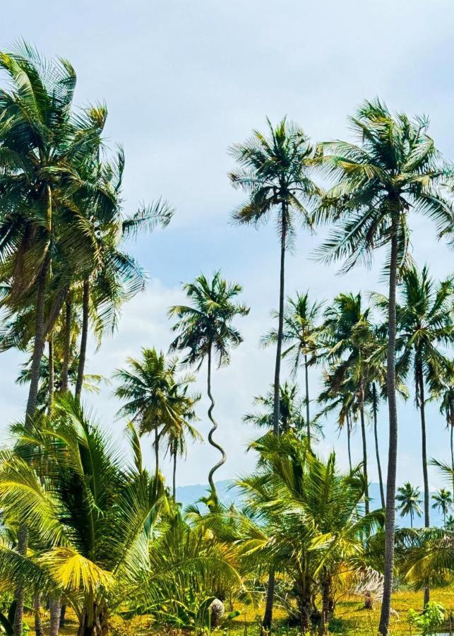 Rivendell Twisted Tree Villa Kurunegala Eksteriør billede
