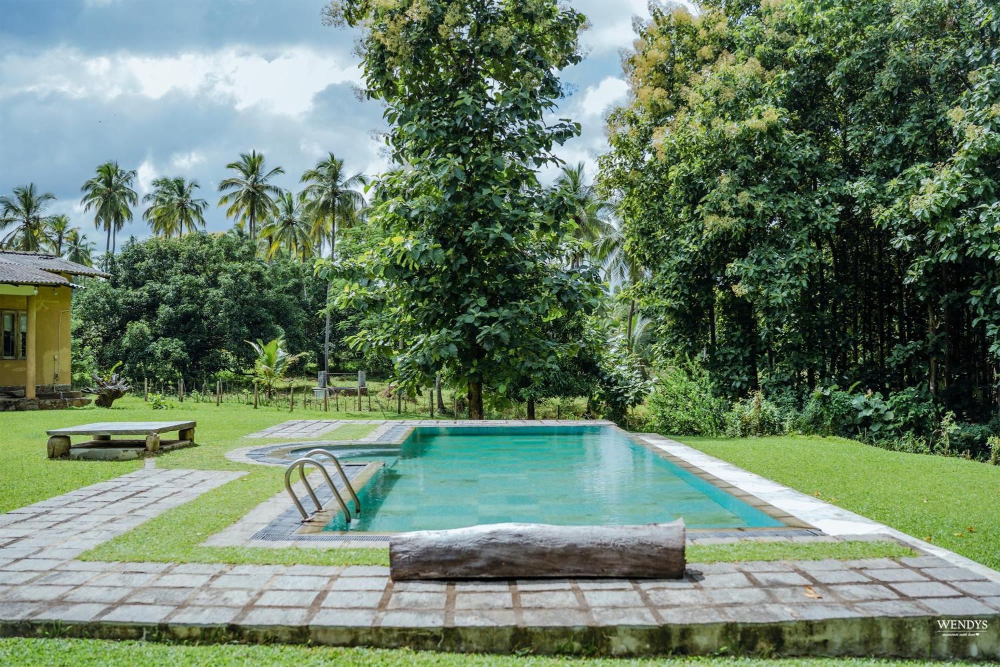 Rivendell Twisted Tree Villa Kurunegala Eksteriør billede