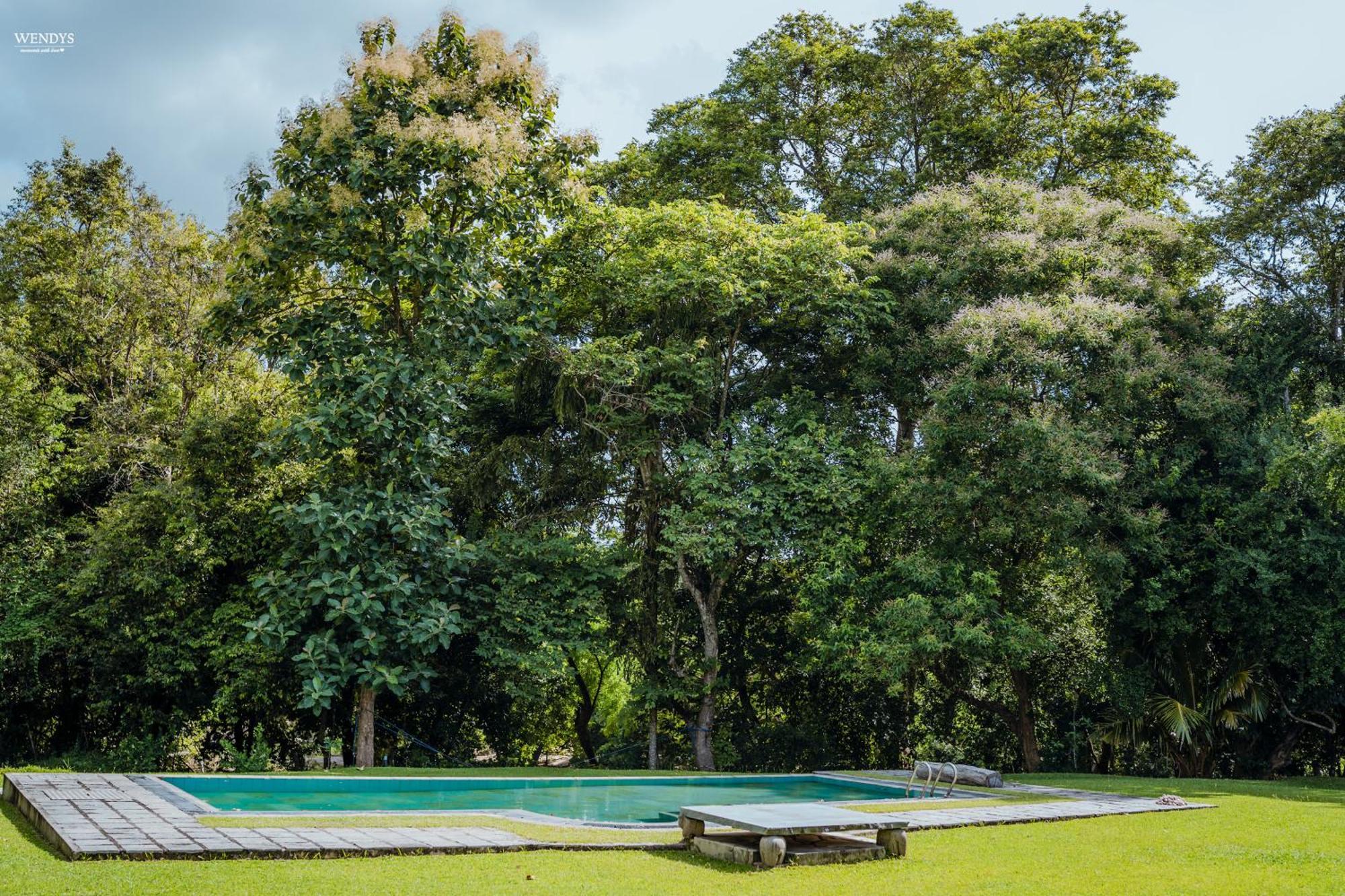 Rivendell Twisted Tree Villa Kurunegala Eksteriør billede